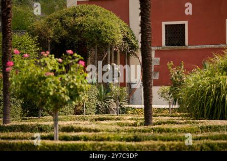 Villa Pellegrini est seul dans une position dominante à Castion Veronese, Vérone, Vénétie, Italie Banque D'Images