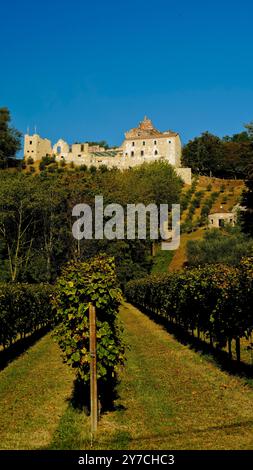 Nichée parmi les vignobles sur les pentes de Montello se trouve l'abbaye de Sant'Eustachio in Nervesa della Battaglia. Un ancien monastère bénédictin Banque D'Images