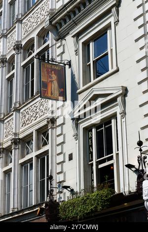 Pub signe de la harpe à Covent Garden, Londres, Angleterre Banque D'Images