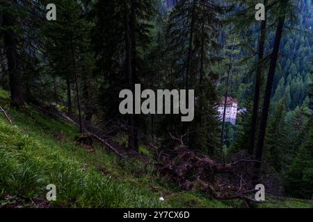 Hôtel dans la Forêt, Val Sinestra, Spa et retraite, Grisons, Suisse Banque D'Images