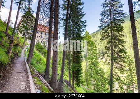 Hôtel dans la Forêt, Val Sinestra, Spa et retraite, Grisons, Suisse Banque D'Images