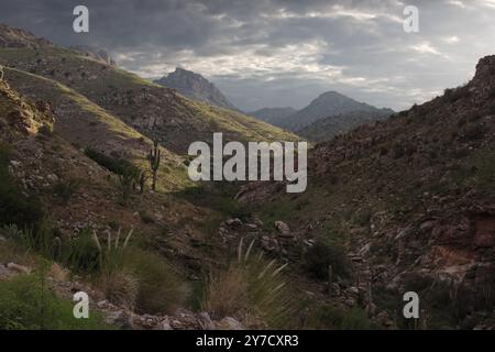 Molino Canyon vista montre les pics, le ciel et le paysage aride de Santa Catalina Mountain dans les montagnes accidentées Santa Catalina de Tucson, Arizona, États-Unis Banque D'Images