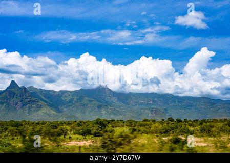 Karamoja Savanah paysage - Ouganda Banque D'Images