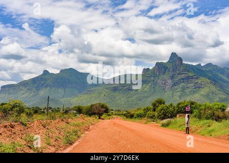 Karamoja Savanah paysage - Ouganda Banque D'Images