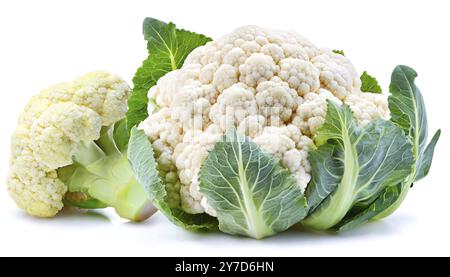 Chou-fleur frais entier et partiel avec feuilles vertes isolé sur fond blanc en haute résolution Banque D'Images