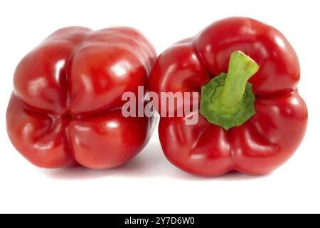 Deux poivrons rouges doux isolés sur fond blanc. Gros plan sur le paprika Banque D'Images