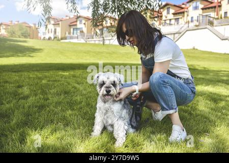 Le propriétaire du chien promène son beau chien Schnauzer dans le parc. fermer Banque D'Images