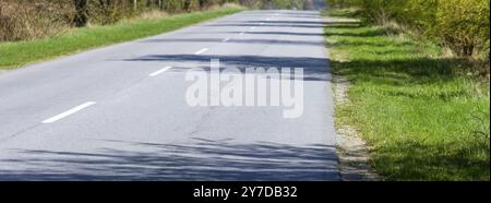 Route asphaltée pour le transport. Ombre d'arbres sur la route qui pousse sur le bord de la route Banque D'Images