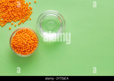 Lentilles rouges biologiques à tremper dans l'eau - Lens culinaris. Banque D'Images