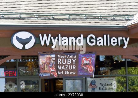 South Lake Tahoe, CALIFORNIE - 16 juin 2024 : gros plan sur la galerie Wyland en face du centre commercial Heavenly Village Banque D'Images