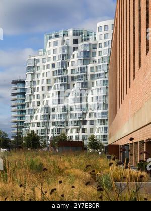 Prospect place, Battersea Power Station appartements résidentiels de luxe, architecture conçue par Frank Gehry Banque D'Images