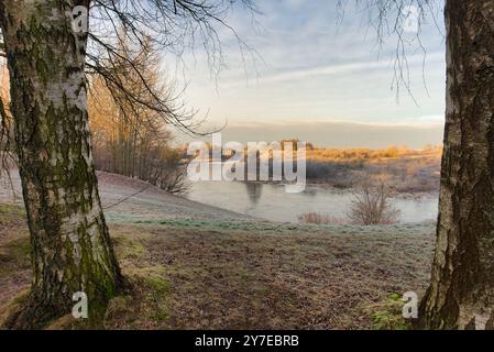 Scène hivernale sereine avec des arbres givrés et une rivière tranquille. La lumière douce et l'air frais créent une atmosphère apaisante dans ce cadre naturel Banque D'Images