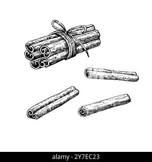 Bâtonnets de cannelle isolés sur fond blanc. Illustration vectorielle dessinée à la main dans le style de gravure noir et blanc. Illustration de Vecteur