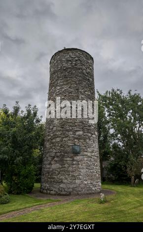 La tour ronde à Inniskeen, comté de Monaghan, Irlande, vestige d'un ancien monastère, se dresse au milieu d'un jardin herbeux et d'arbres sous un s couvert Banque D'Images