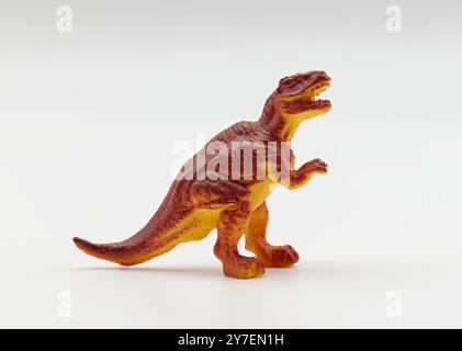T-rex isolé sur fond blanc. Animaux préhistoriques. Banque D'Images