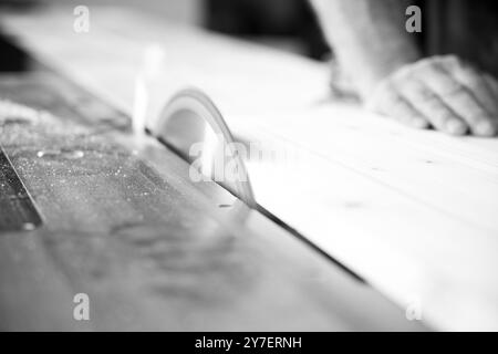 Menuisier qualifié coupant la planche de bois avec scie circulaire dans un atelier confortable, sciure de bois volant, mettant en valeur l'expertise du travail du bois. L'intérieur de l'atelier de bois fournit Banque D'Images