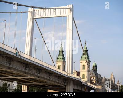 Détail du pont Elisabeth ou Erzsébet híd, Budapest - Hongrie. Banque D'Images