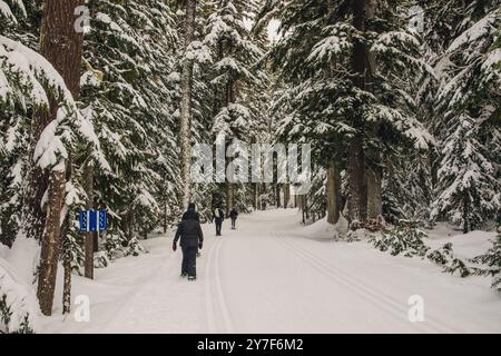 Quatre personnes faisant de la raquette sur la piste à côté des pistes de ski dans les montagnes Cascade Banque D'Images