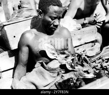 Opération 'Ark', lac Kariba, Zimbabwe. 20 février 1959. Deux jeunes membres de la famille des antilopes sont en sécurité dans les bras d'un Africantracker, tous les animaux sont libérés sur ce «continent». L'opération de sauvetage a duré quatre ans et a été nécessaire lorsque le barrage de Kariba a été construit. Banque D'Images