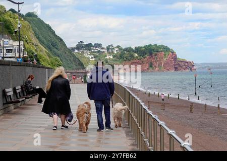 Fraîche brise juin le jour d'été quelques personnes sur la plage et deux promeneurs de chiens se promènent le long de la promenade enveloppé contre la brise de mer Teignmouth Angleterre Devon UK Banque D'Images