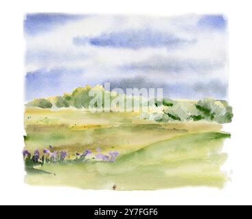 Paysage de paysage, ciel bleu nuageux, terrain de landes de prairie vert pâturage avec des fleurs d'arbustes, dessiné à la main à l'aquarelle. Illustration pour Banque D'Images