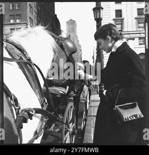 Audrey Hepburn lors d'une visite en 1952 à New York, aux États-Unis, où elle a joué dans Gigi on Broadway, New York 1952. Elle est au rang de calèche à Central Park, Manhattan. Photographie de George Douglas Banque D'Images