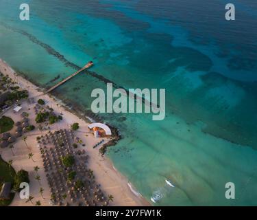 Belle vue sur les oiseaux de la plage dominicus, océan cristallin et belle plage de sable, mer des Caraïbes. Bayahibe, République dominicaine. Banque D'Images