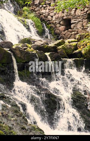 Petite cascade en Suède. Pierres recouvertes de mousse. Forêt sur la rive de la rivière. Nature scandinave Banque D'Images