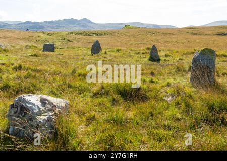 Les cercles de pierres de Burnmoor perchés sur de hautes landes, datent d'environ 2000 av. J.-C., Burnmoor près de Boot, Eskdale Banque D'Images