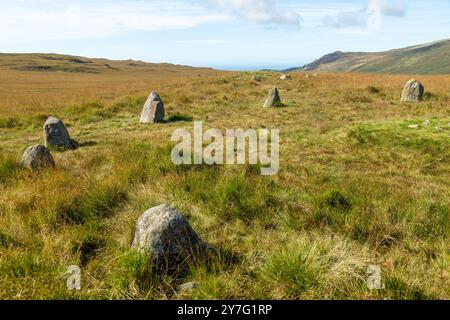 Les cercles de pierres de Burnmoor perchés sur de hautes landes, datent d'environ 2000 av. J.-C., Burnmoor près de Boot, Eskdale Banque D'Images