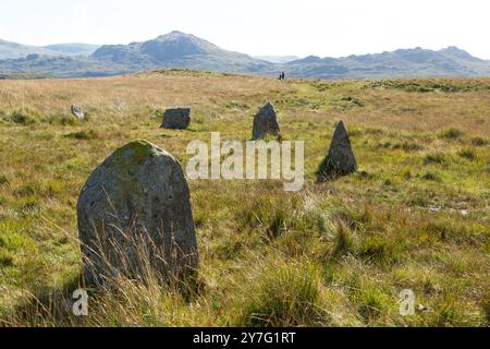 Les cercles de pierres de Burnmoor perchés sur de hautes landes, datent d'environ 2000 av. J.-C., Burnmoor près de Boot, Eskdale Banque D'Images