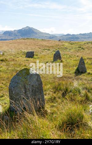 Les cercles de pierres de Burnmoor perchés sur de hautes landes, datent d'environ 2000 av. J.-C., Burnmoor près de Boot, Eskdale Banque D'Images