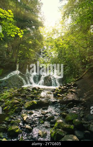 Petite cascade en Suède. Pierres recouvertes de mousse. Forêt sur la rive de la rivière. Nature scandinave Banque D'Images