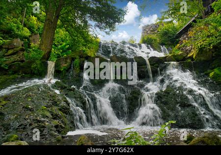 Petite cascade en Suède. Pierres recouvertes de mousse. Forêt sur la rive de la rivière. Nature scandinave Banque D'Images