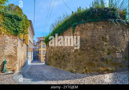 Le mur médiéval en pierre, surmonté de buissons verdoyants sur la via Salvecchio, Citta Alta, Bergame, Italie Banque D'Images