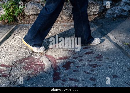 Sarajevo Rose Symbol des Krieges 21.09.24, Sarajevo : Symbolfoto, Illustrationsbild, Symbolbild, Illustrationsfoto, Alltagsszene Sarajevo Rose Symbol des Krieges Eine Sarajevo Rose, ein dauerhaftes Zeichen des Bosnienkrieges, markiert den Asphalt in Sarajevo. Diese Narben wurden durch Mörsergranaten hinterlassen, die während des Krieges explodierten, und wurden später mit rotem Harz gefüllt, um an die zivilen opfer zu erinnern. . Sarajevo Hessen Bosnien-Herzégovine *** Sarajevo rose symbole de la guerre 21 09 24, Sarajevo symbole photo, illustration image, symbole image, illustration photo, illustration photo, tous les jours s Banque D'Images