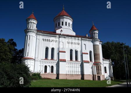 La cathédrale de la Theotokos à Vilnius, Lituanie Banque D'Images