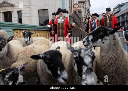 Damian Lewis mène la London Sheep Drive sur Southwark Bridge alors que les Freemen de la City de Londres exercent leur droit de conduire des moutons à travers la Tamise. Banque D'Images