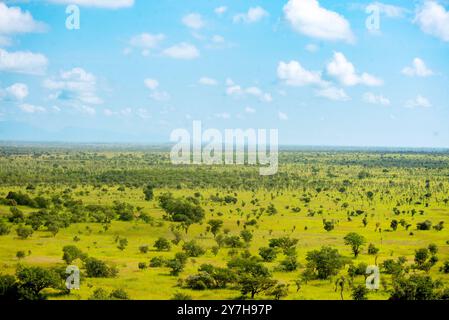 Paysage de Savanah dans la réserve de chasse de Pian UPE à Karamoja Ouganda Banque D'Images