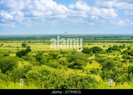 Paysage de Savanah dans la réserve de chasse de Pian UPE à Karamoja Ouganda Banque D'Images