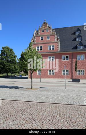 Baum vor dem Zeughaus Wolfenbüttel Deutschland Allemagne Banque D'Images