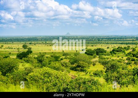 Paysage de Savanah dans la réserve de chasse de Pian UPE à Karamoja Ouganda Banque D'Images