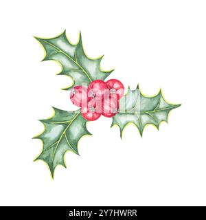 Un clipart d'aquarelle festif de feuilles de houx et de baies rouges. Illustration ilex dessinée à la main pour concevoir des textiles de Noël, du papier d'emballage, des cartes de voeux, ou de l'art numérique festif et des invitations Banque D'Images