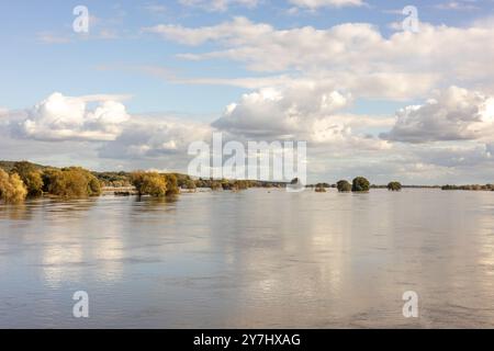 Paysage de la pittoresque rivière Odra étendue sur la frontière polono-allemande. Concept. Menace et beauté de la nature Banque D'Images