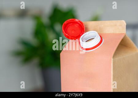 Conteneur en carton longue durée à partir de matériaux recyclés avec bouchon fixe en plastique. Le bouchon reste attaché après ouverture, ce qui rend l'emballage entier Banque D'Images