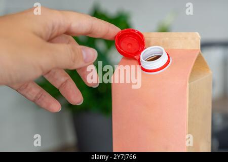 Conteneur en carton longue durée à partir de matériaux recyclés avec bouchon fixe en plastique. Le bouchon reste attaché après ouverture, ce qui rend l'emballage entier Banque D'Images