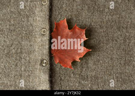 Pull marron d'automne avec feuille d'érable. Vue de dessus Banque D'Images
