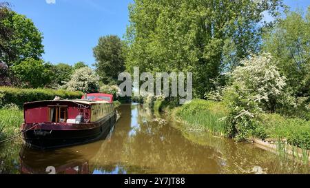 Le canal Kennet et Avon à Hungerford. Banque D'Images