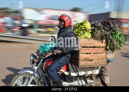 Un homme transporte des bananes mûres et des légumes frais sur une moto à Kampala Banque D'Images