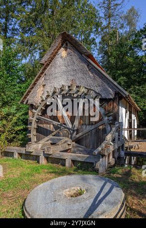 Moulin à eau et moulin à eau du 18ème siècle / roue à eau dans le village recréé de Kempen / Campine au musée en plein air Bokrijk, Limbourg, Flandre, Belgique Banque D'Images